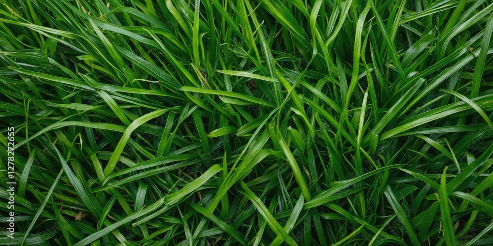 Poster lush green grass close-up texture with ample space for copy and design elements perfect for nature-t