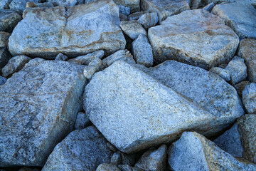 Large rocks are arranged in a row for the background.