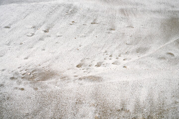 Sandy beach at low tide for background image.