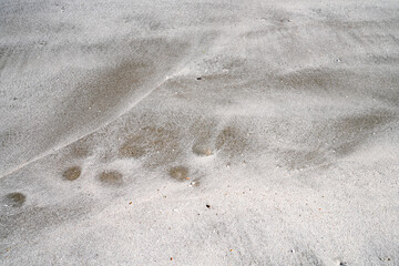 Sandy beach at low tide for background image.