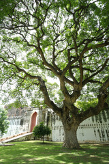 Fototapeta premium Is a museum located inside the ancient Phra Narai Ratchaniwet Palace, Thailand