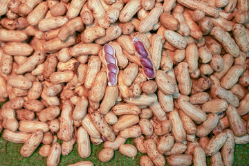 In Thailand, people like to eat steamed peanuts.