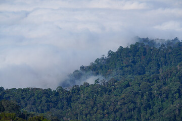 View of trees, mountains and clouds in the sky in Kaeng Krachan National Park, Thailand.
