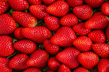 Close-up of a group of fresh red strawberries with a shiny texture and visible seeds. The strawberries are piled together, showcasing their vibrant color and juicy appearance
