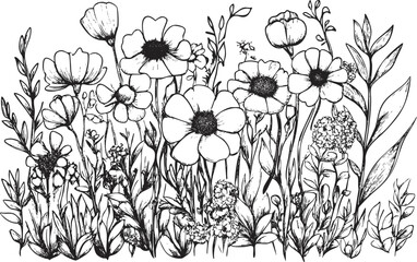Black and white line art illustration of various wildflowers and plants.