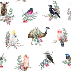 Australia wildlife birds watercolor illustration seamless pattern. Hand drawn cockatoo, fairy wren, kookaburra, magpie, emu with eucalyptus branches, flowers decoration on white background