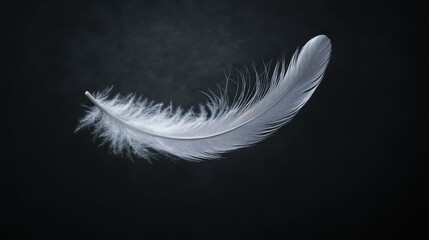 A delicate white feather gently floats against a dark background, highlighting its softness and intricate details with a serene and tranquil mood.