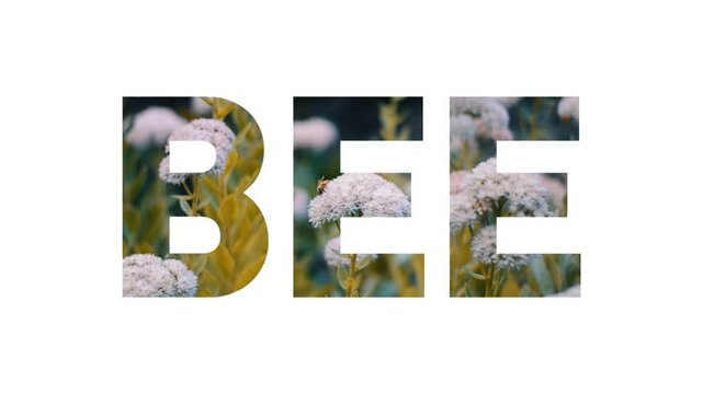 The word (text, inscription) "BEE" on a white background with a bee pollinating some flowers inside the caption, HD video slide