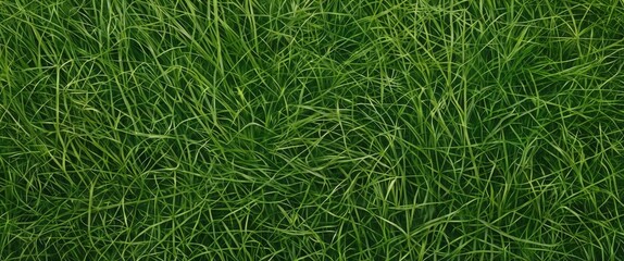 Lush Green Grass Texture for Natural Background in Design and Nature Themes