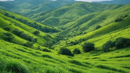 Fototapeta premium Lush Green Rolling Hills Landscape with Expansive Copy Space for Text and Nature Theme Ideal for Travel or Wellness Marketing