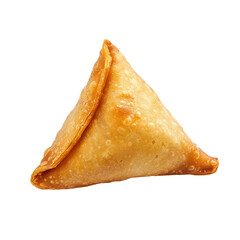 Golden Triangle of Flavor: A Delicious Indian Snack