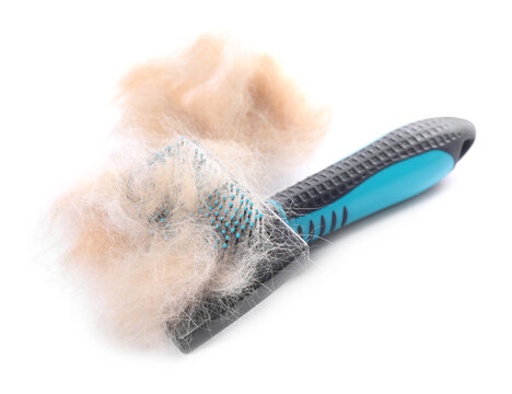 Grooming brush and pile of pet's hair isolated on white
