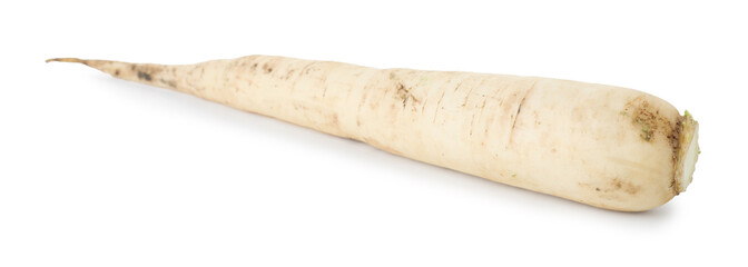 Whole fresh turnip isolated on white. Vegetable root