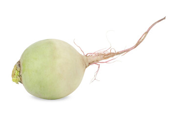 Whole fresh turnip isolated on white. Vegetable root