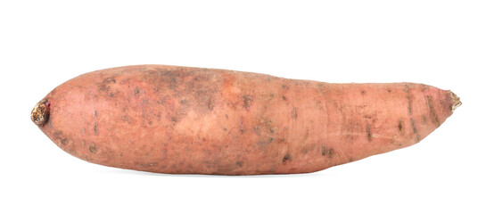 One fresh sweet potato isolated on white. Vegetable root