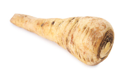 One fresh parsnip isolated on white. Root vegetable