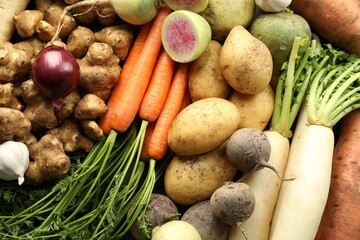 Different raw root vegetables as background, top view
