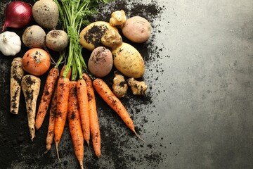 Different root vegetables and soil on grey table, flat lay. Space for text