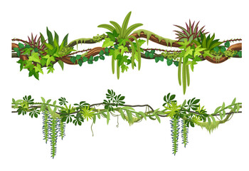 Tropical jungle forest liana branch with climbing roots and leaves. vector green foliage spinney with hanging vines. Amazon or african rainforest nature. Tree branches, thicket plants for game © Vector Tradition