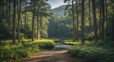 Fototapeta premium Tranquil forest landscape with lush greenery and a serene stream reflecting the beauty of natural outdoor recreation.