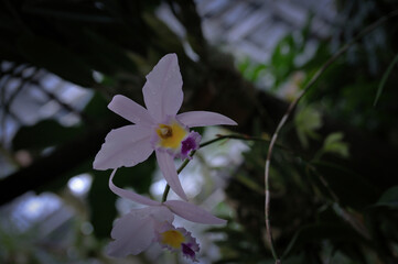 Heating through the Winter Survival is cloudy