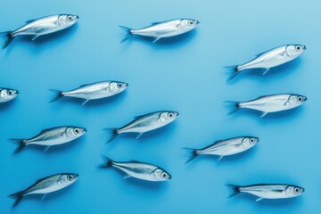 Multiple silver fish are swimming on the blue background