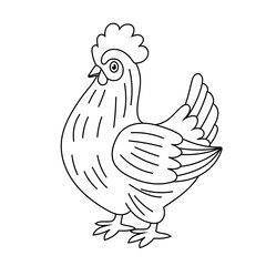 Contour illustration chicken. Hen in hand drawn style. Farm bird isolated on white background. Domestic animal. Colouring page.