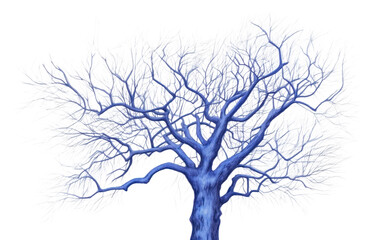 Obraz premium PNG Drawing tree sketch plant blue.