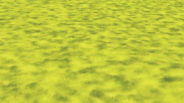 A seamless looping cartoon or water color style long duration animation of beautiful grass field swaying by wind created by procedural geometric 3D modeling.