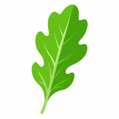 arugula leaf