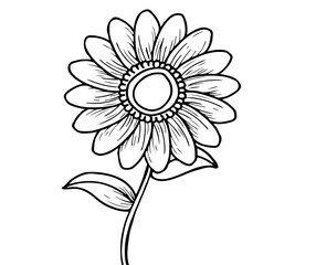 Hand Drawn Sunflower Illustration