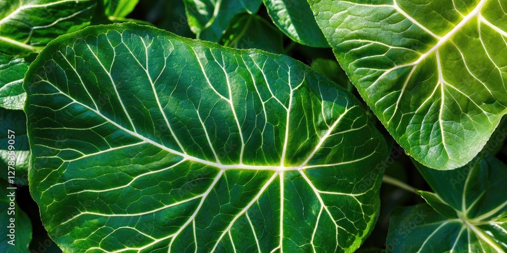 Poster detailed close-up of lush green leaves showcasing intricate vein patterns and a glossy texture with 