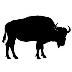 Silhouette of a buffalo with massive body, short legs, and curved horns, standing in profile, representing strength, wild nature, and ruggedness in the animal kingdom.