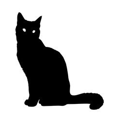 Silhouette of a sitting black cat with raised ears and a fluffy tail, eyes highlighted in white for contrast, symbolizing mystery, grace, and independence.