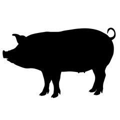 Silhouette of a pig depicted in profile, with a distinctive black shape, showing the characteristic ears, snout, and curled tail, symbolizing agriculture, domesticated animals, and rural life.