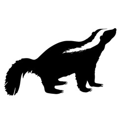 Silhouette of a skunk with a distinctive white stripe running from its head to its tail, illustrating the animal’s profile in a black-and-white contrast against the backdrop of nature.