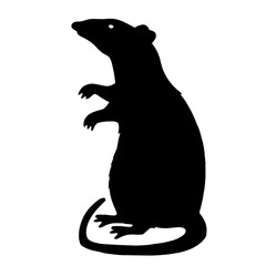 Silhouette of a rat standing on hind legs with a long tail and raised paws, representing curiosity and adaptability in a minimalist style