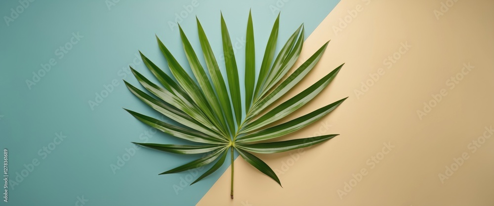 Poster tropical palm leaf on split color background with empty space for text minimalist summer aesthetic f
