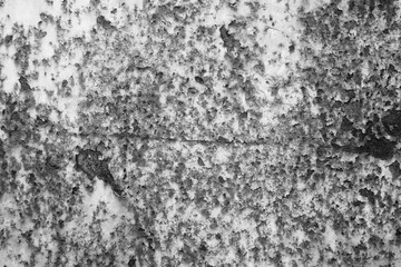 Abstract background. Monochrome texture. Image includes a effect the black and white tones.