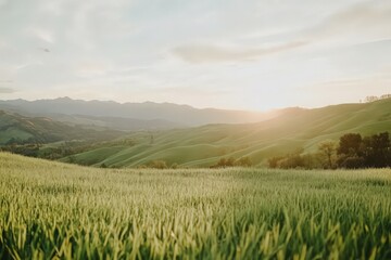 Fototapeta premium Serene Sunset Landscape Golden Light on Rolling Green Wheat Fields and Distant Mountains