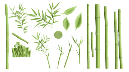 Naklejka premium bamboo stalks and leaves cut out on white background
