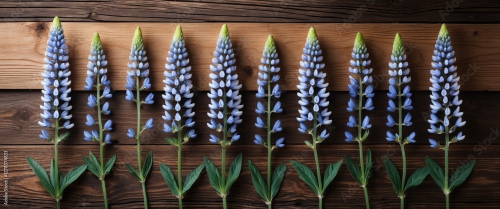 Poster wooden background featuring lupine flowers with ample space for text placement and design elements