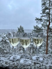 Wine glasses in the snowy forest