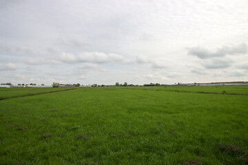 Meadows of the Zuidplaspolder in Nieuwerkerk aan den IJssel