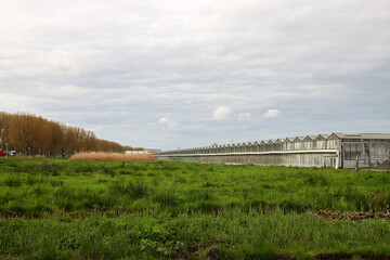 Nieuwerkerk Noord area which is waiting for development in the future