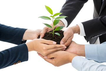 Multiple hands hold the growing plant, reinforcing teamwork, investment, and shared responsibility for growth and success, isolated on a transparent background