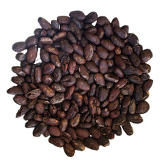 photo of the cacao plant with cacao pods, cocoa nibs, and chocolate.