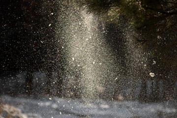 beautiful winter landscape with snow covered trees