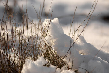 beautiful winter landscape with snow covered trees