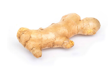 Fresh ginger root on white background for herb and medical product concept
